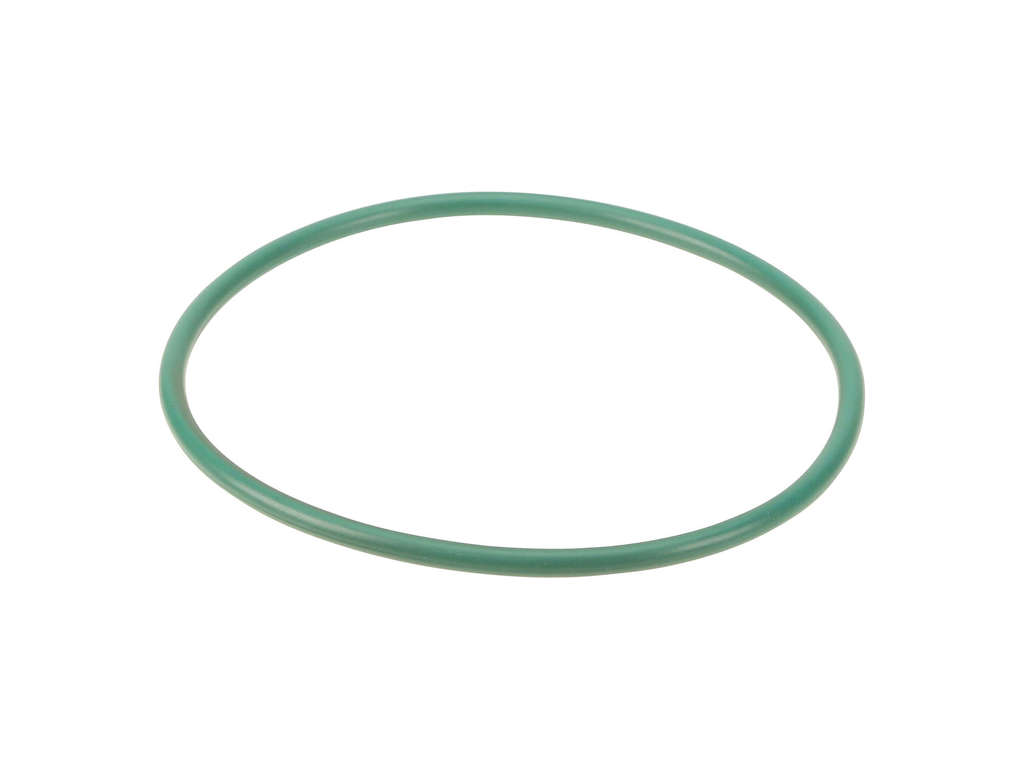 2011-2022 BMW X3 Fuel Pump Tank Seal (Genuine)