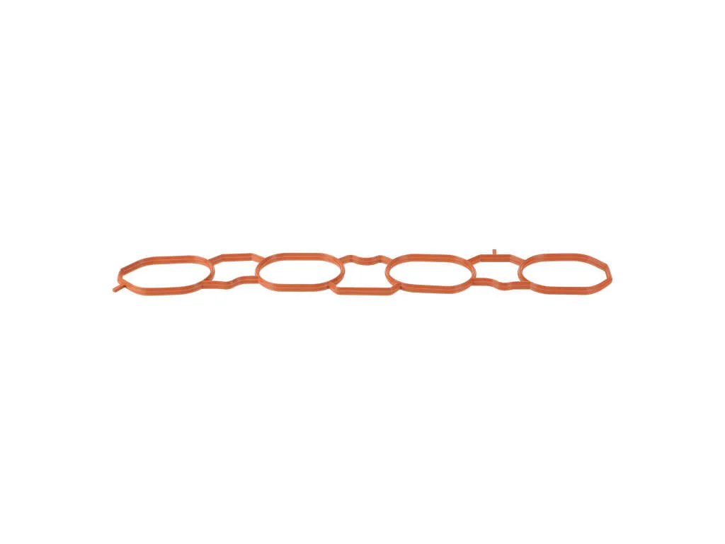 2013-2019 Nissan Sentra Engine Intake Manifold Gasket (Genuine)