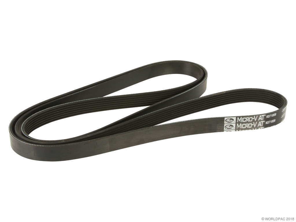 2004-2008 Dodge Durango Accessory Drive Belt (Gates)
