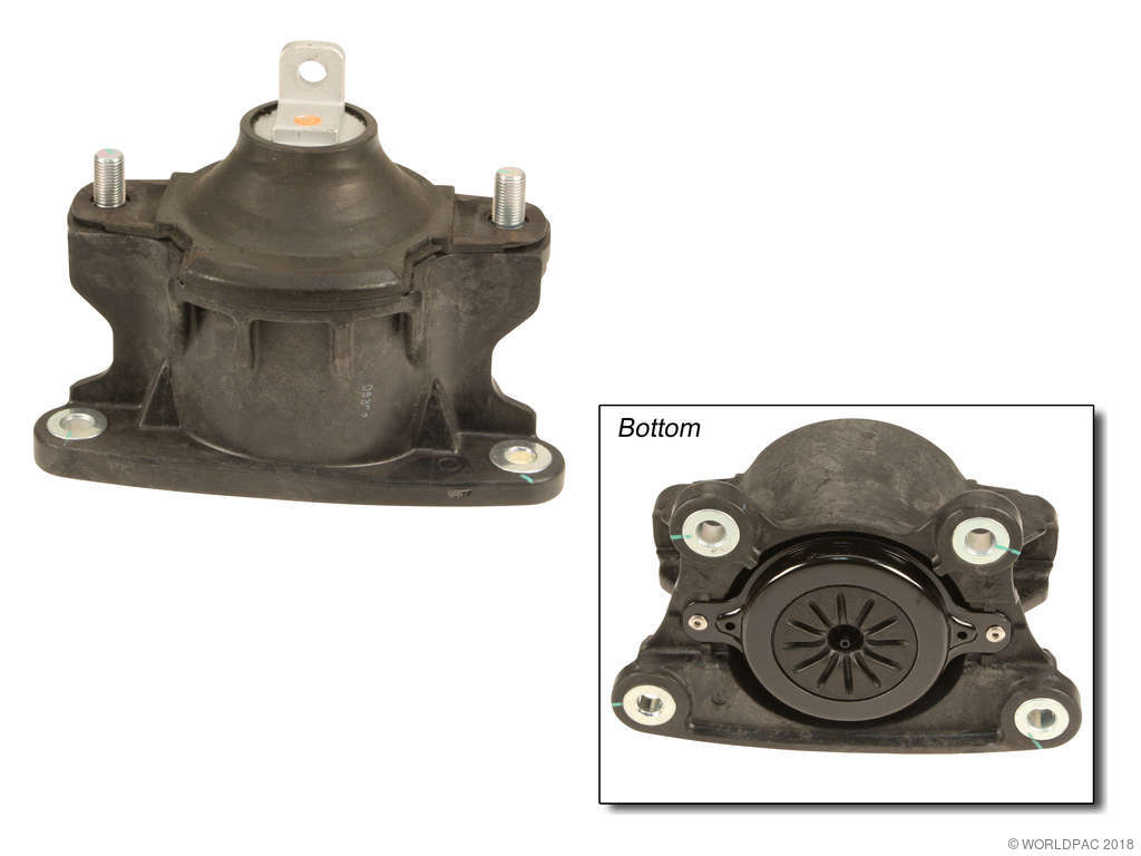 2009-2014 Acura TSX Engine Mount - Front (Genuine)
