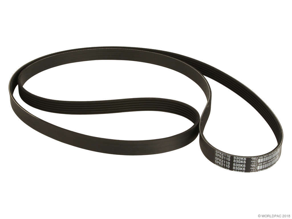 1998-2000 Ford Contour Accessory Drive Belt - Primary (Dayco)