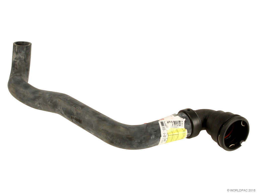 2007-2008 Lincoln Navigator Radiator Coolant Hose - Lower (Motorcraft)