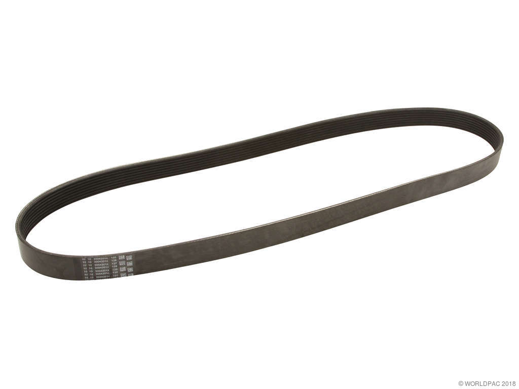 2011-2017 BMW X3 Accessory Drive Belt (ContiTech)