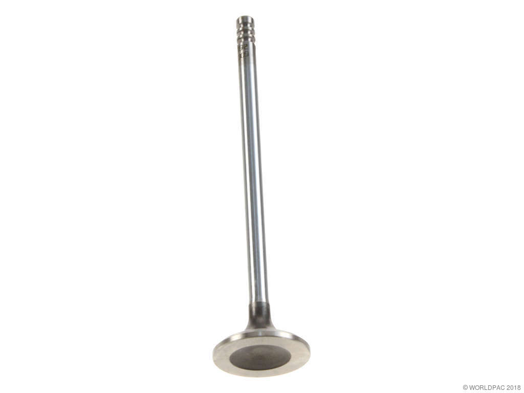 2000-2005 Dodge Neon Engine Exhaust Valve (Mahle)