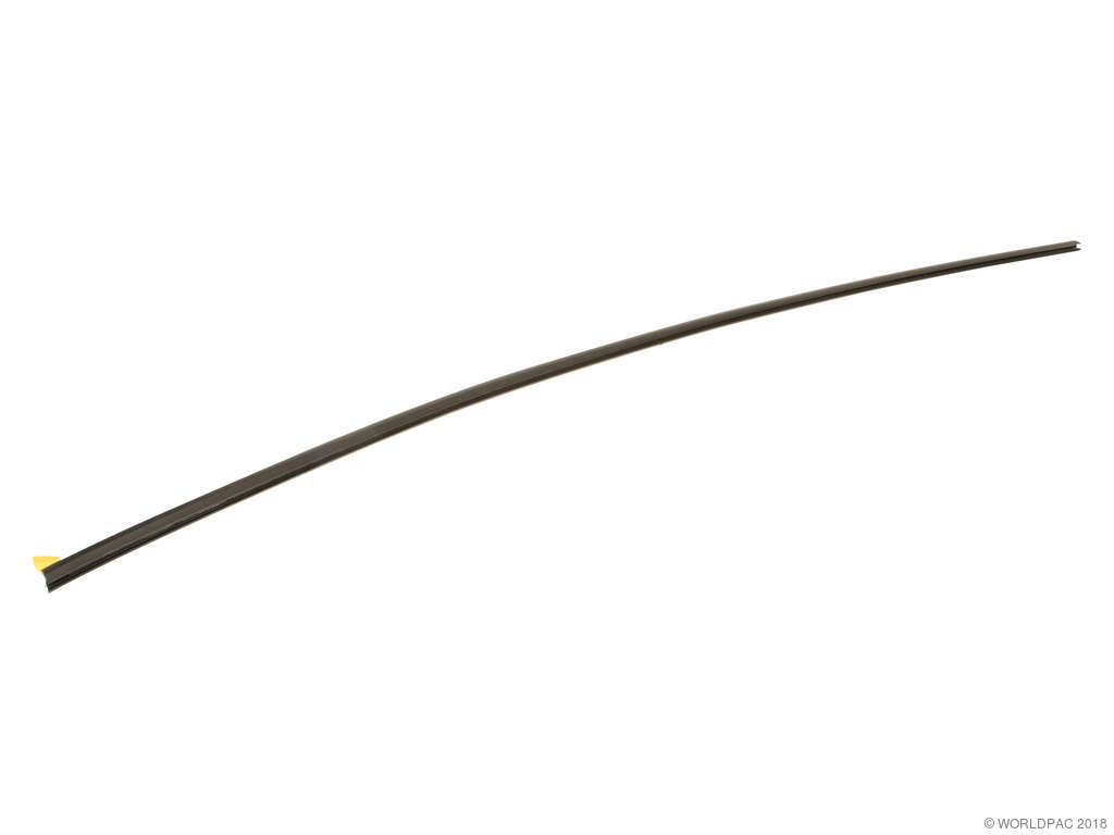 2006-2010 BMW M5 Windshield Molding Seal - Front (Genuine)
