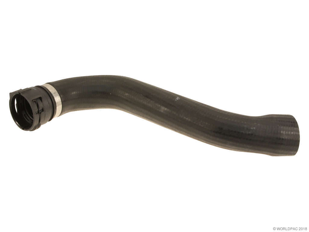 2000-2003 BMW M5 Radiator Coolant Hose - Upper (Genuine)