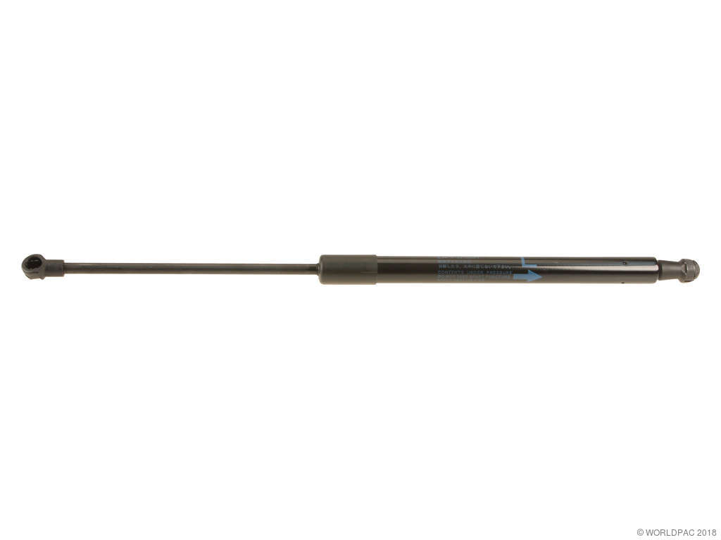 2005-2010 Scion tC Liftgate Lift Support - Left (Genuine)