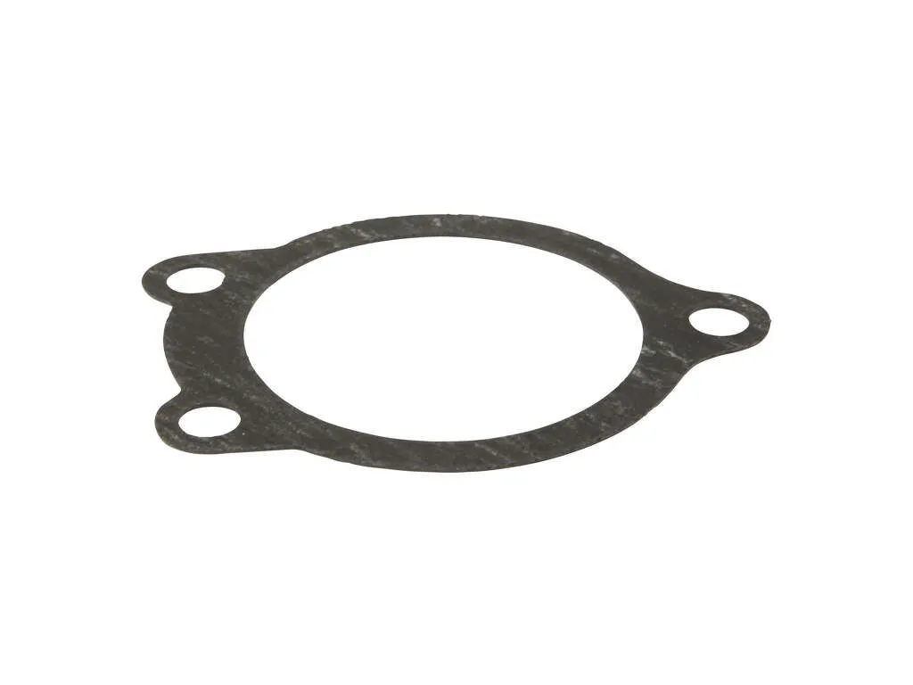1993-1997 Isuzu Rodeo Engine Coolant Thermostat Gasket (Ishino Stone)