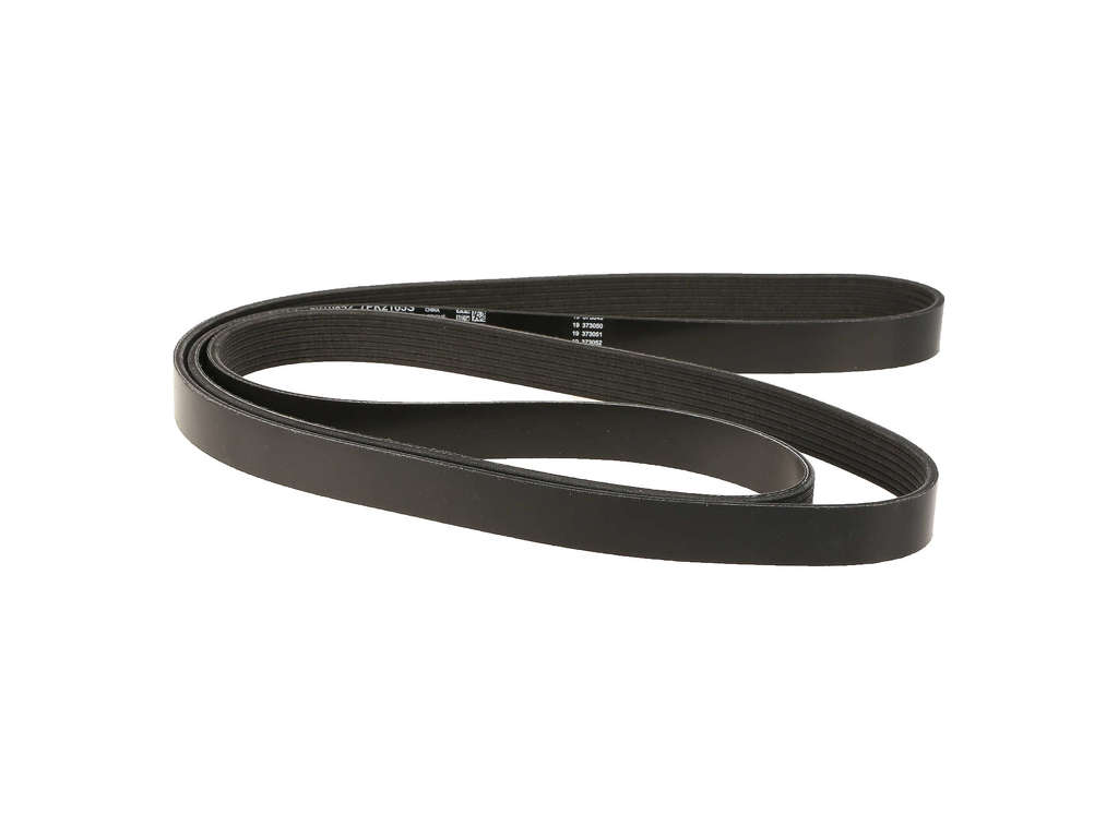 2006-2011 Honda Civic Accessory Drive Belt (Dayco)