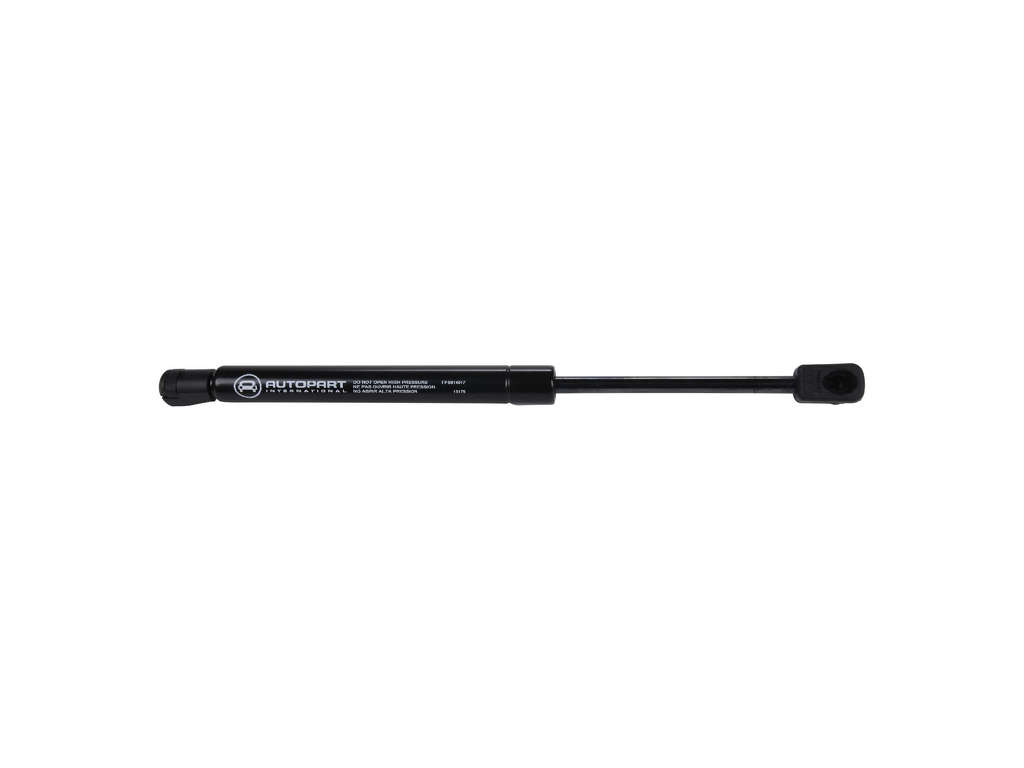 1999-2005 Buick Century Trunk Lid Lift Support (Autopart International)