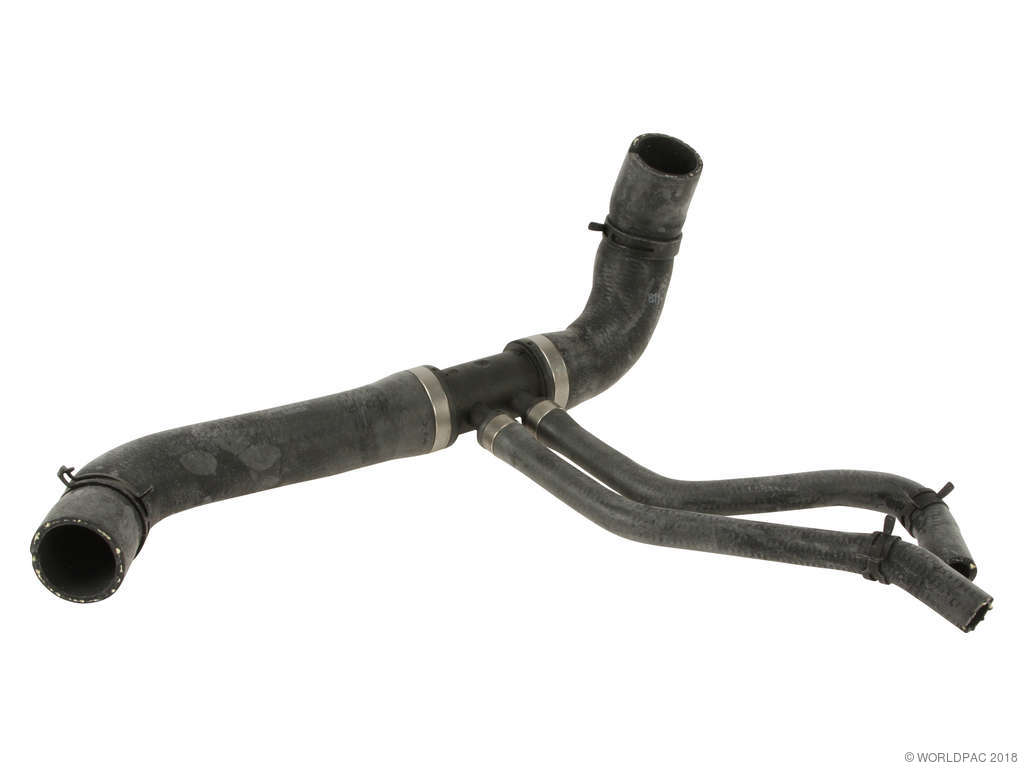 2003-2005 Jaguar S-Type Radiator Coolant Hose - Lower (Genuine)