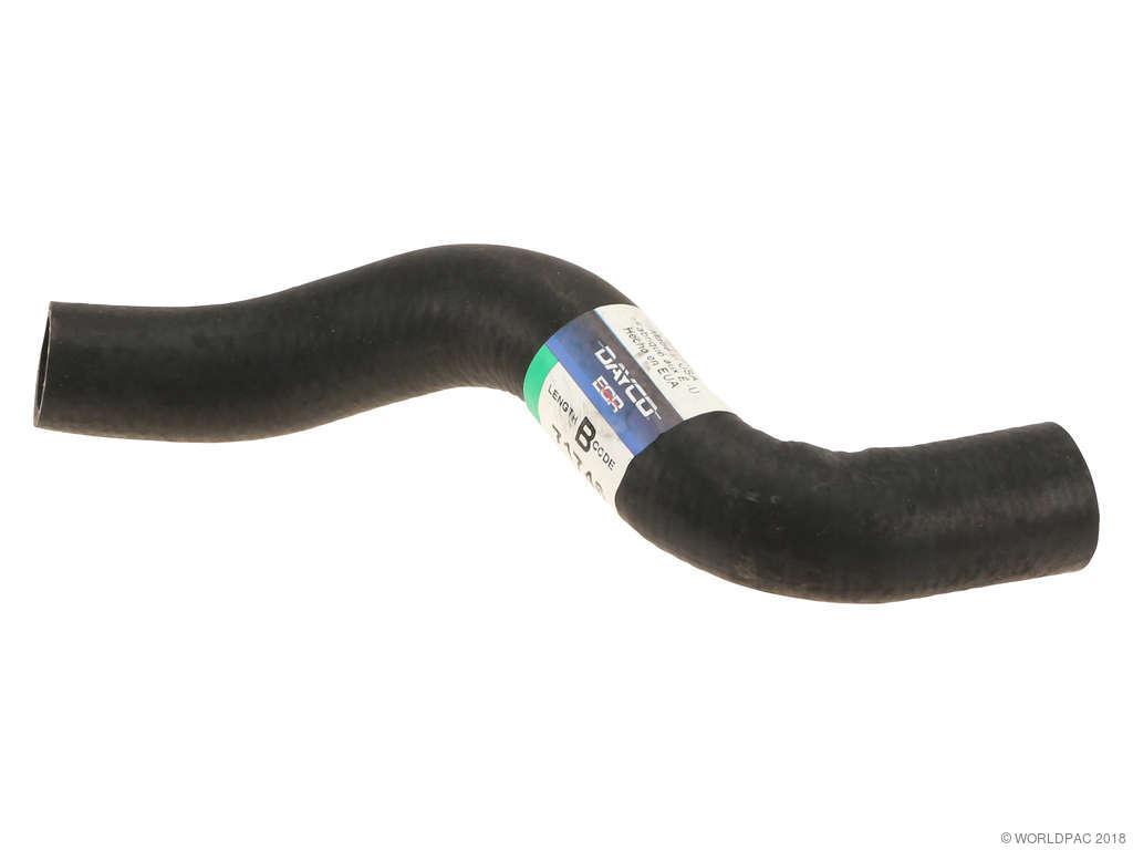2008-2009 Chevrolet Uplander Radiator Coolant Hose - Lower (Dayco)