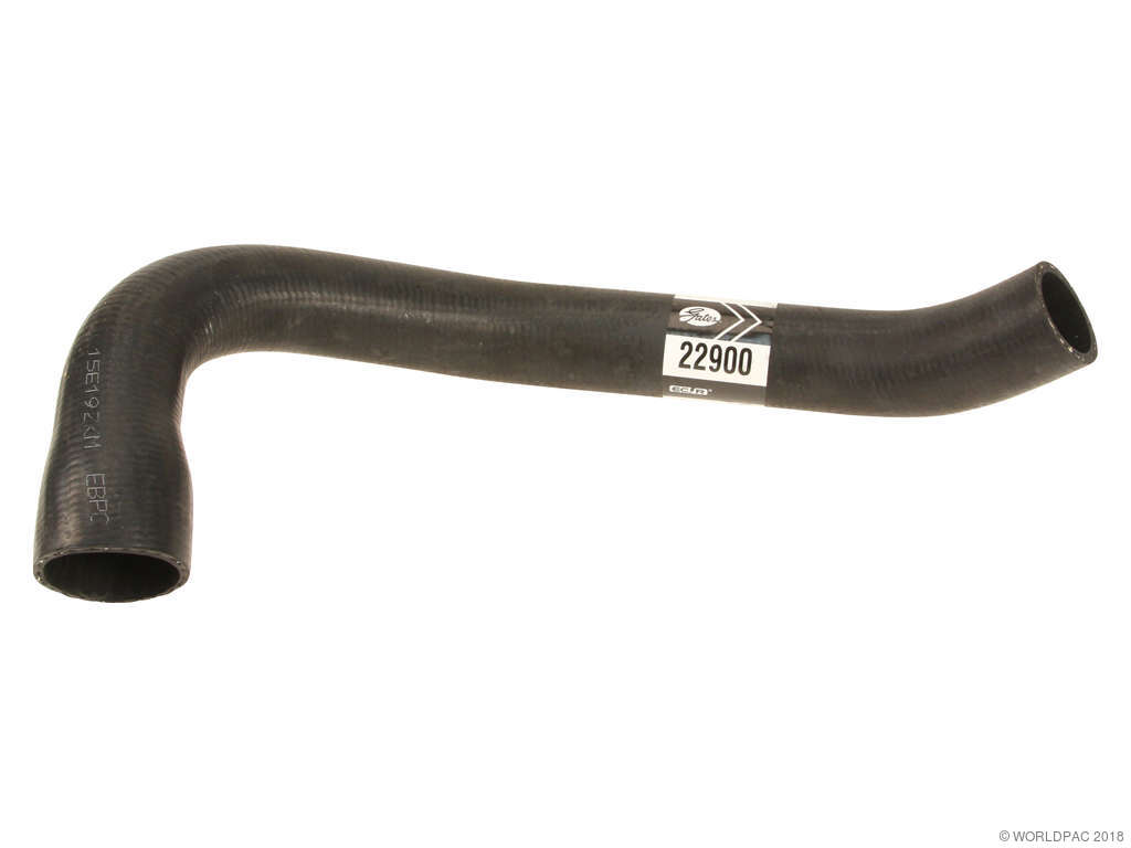 1989-2006 Jeep Wrangler Radiator Coolant Hose - Lower or Outlet (MacKay)