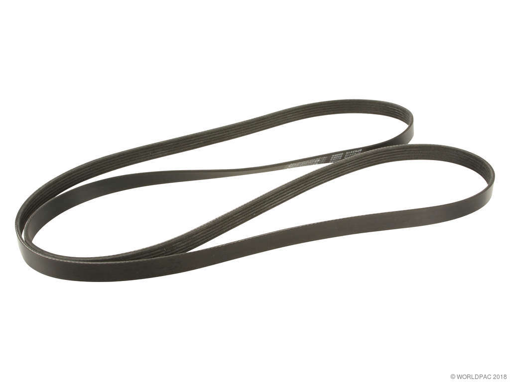 2010-2017 Chevrolet Equinox Accessory Drive Belt -  or Water Pump, Alternator, Air Conditioning and Power (Dayco)
