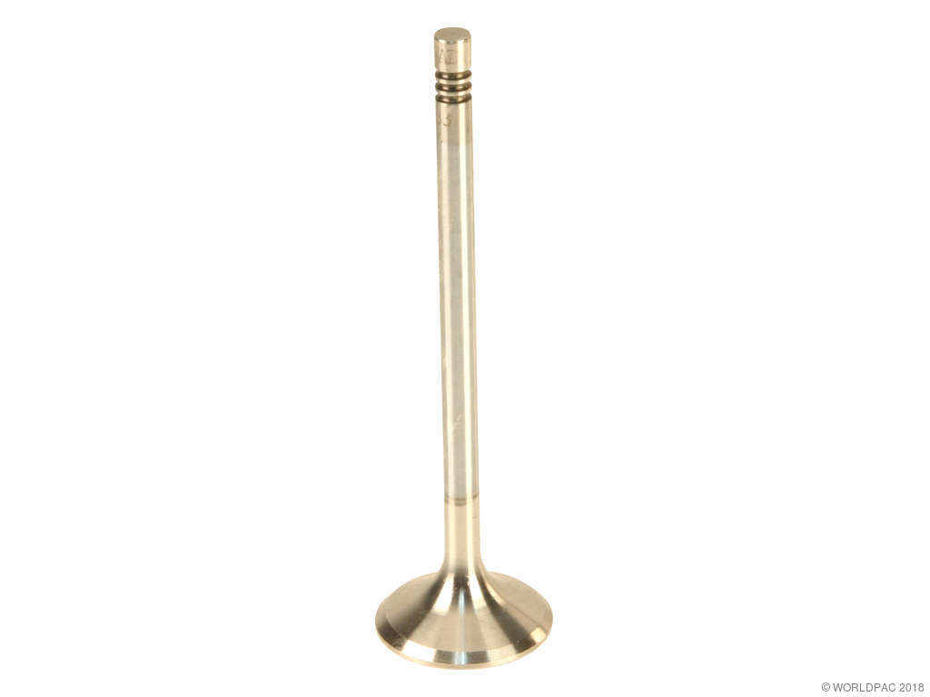 2006-2011 Mercedes-Benz ML350 Engine Exhaust Valve (TRW)