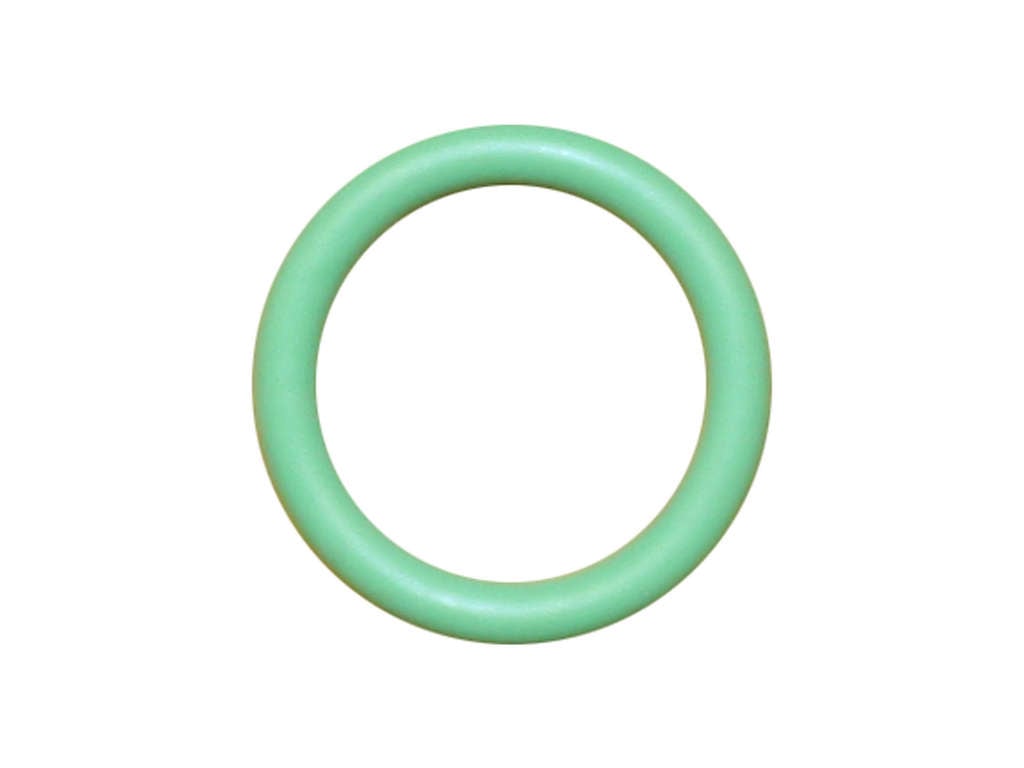 2007-2015 Mini Cooper A/C Expansion Valve O-Ring (Rein)