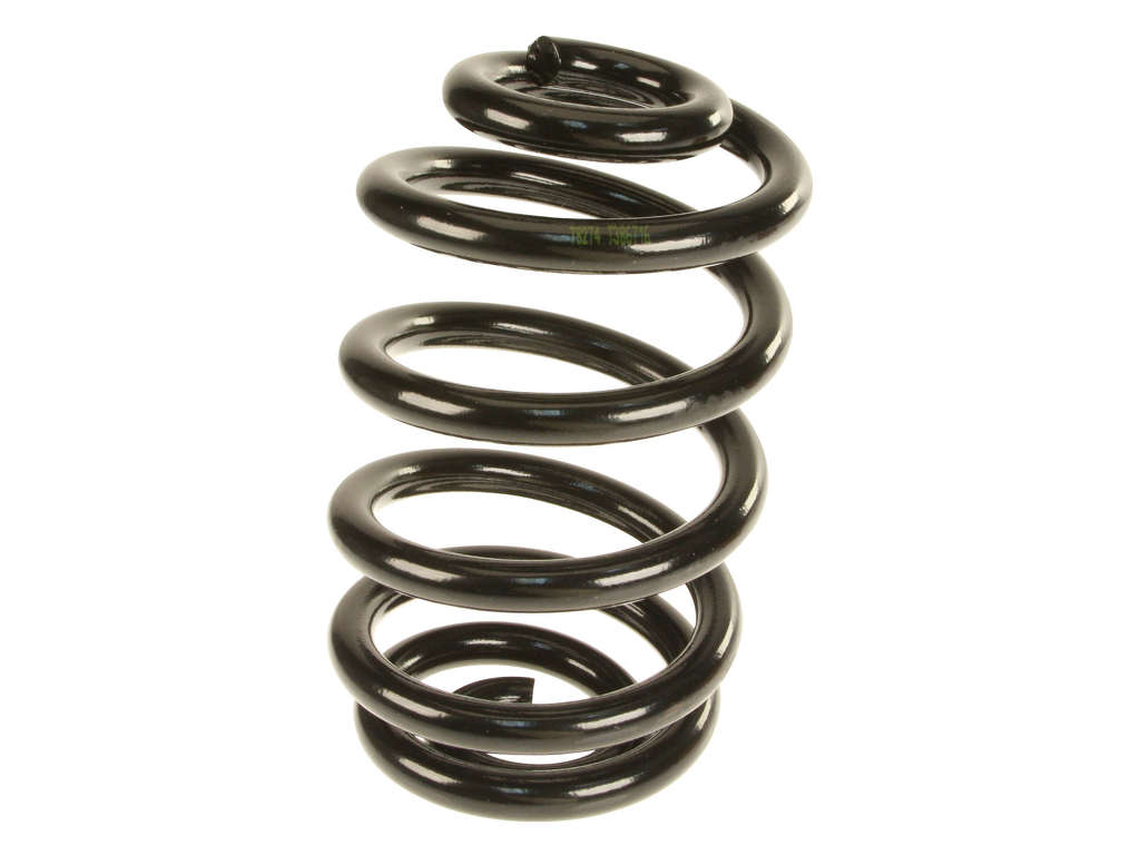 2004-2006 BMW X3 Coil Spring - Rear (Lesjofors)