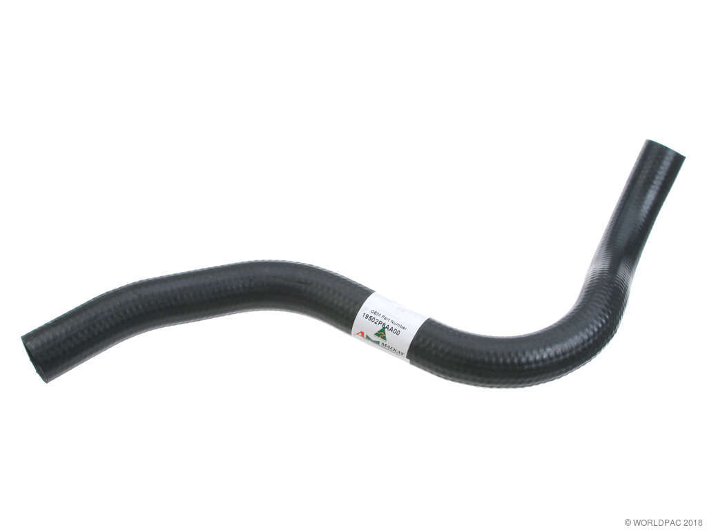 1997-1999 Acura CL Radiator Coolant Hose - Lower (MacKay)