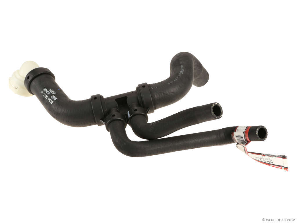 2011-2014 Ford F-150 Radiator Coolant Hose - Lower (Motorcraft)