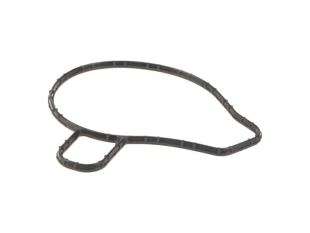 2018-2022 Lexus IS300 Engine Water Pump Gasket (Genuine)