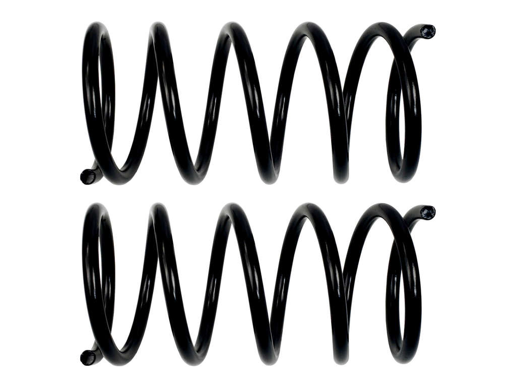 2002-2005 Kia Sedona Coil Spring - Front (Moog)