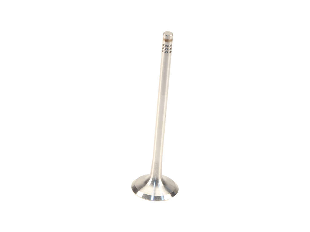 2008-2014 BMW X6 Engine Exhaust Valve (TRW)