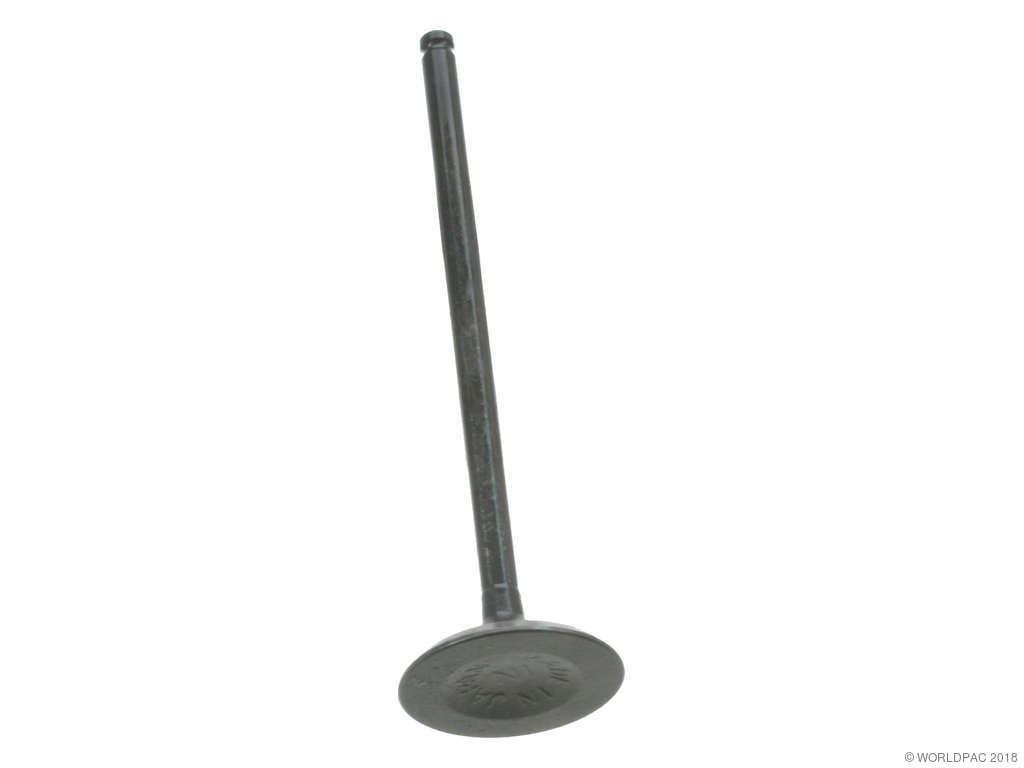 1995 Honda Odyssey Engine Intake Valve (Dokuro)