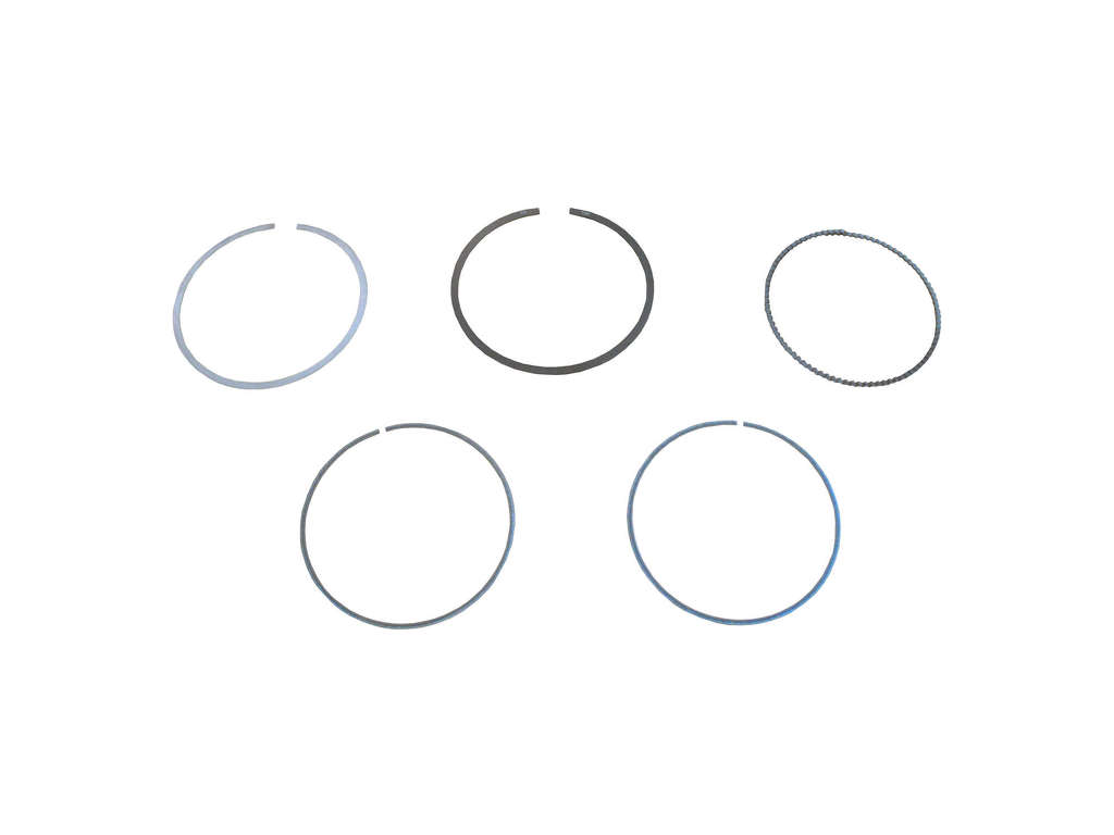 2002-2004 Audi A6 Engine Piston Ring Set (CRP)