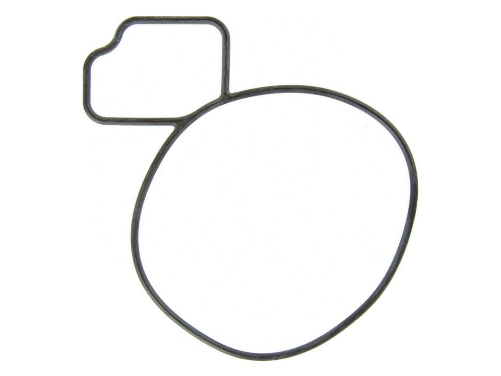 2010-2017 Chevrolet Equinox Engine Water Pump Gasket (Fel-Pro)