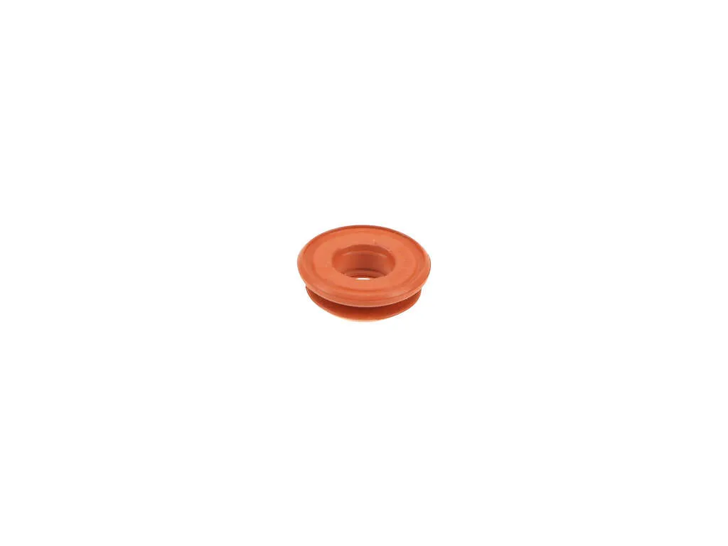 2001-2006 BMW M3 Engine Crankcase Vent Valve Seal (Victor Reinz)