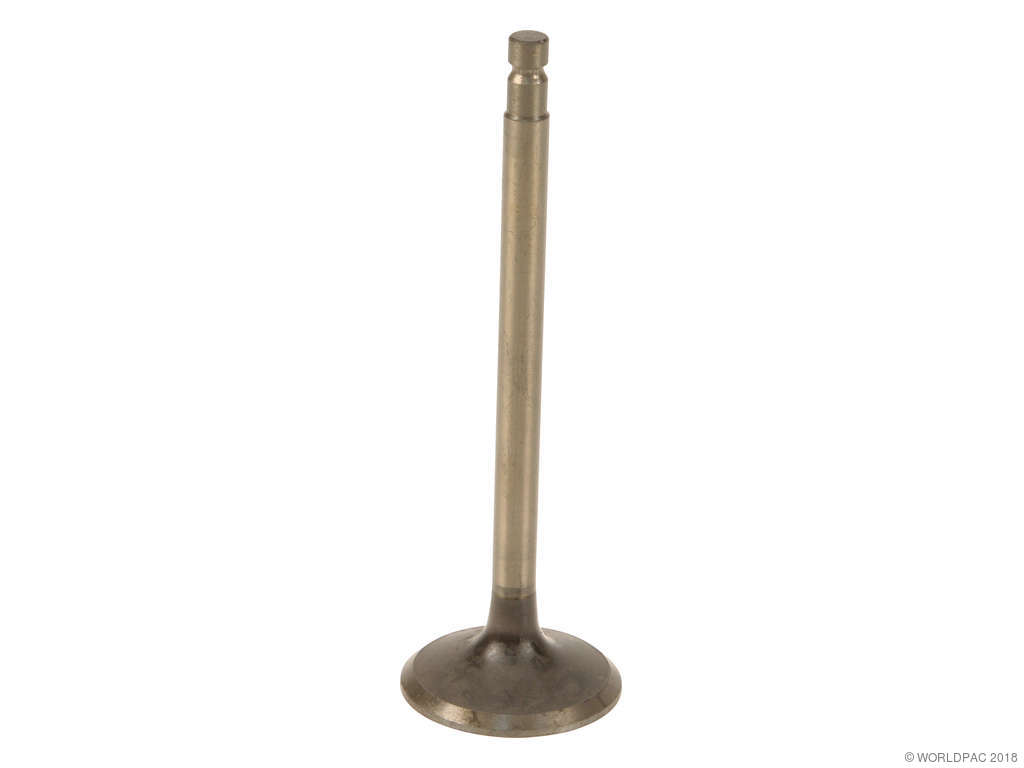 1990-1992 Nissan Stanza Engine Exhaust Valve (Dokuro)