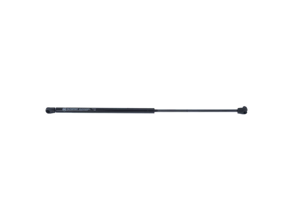 1998-2004 Dodge Intrepid Hood Lift Support (Autopart International)
