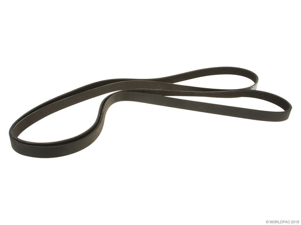 2000-2001 Lincoln LS Accessory Drive Belt (Dayco)