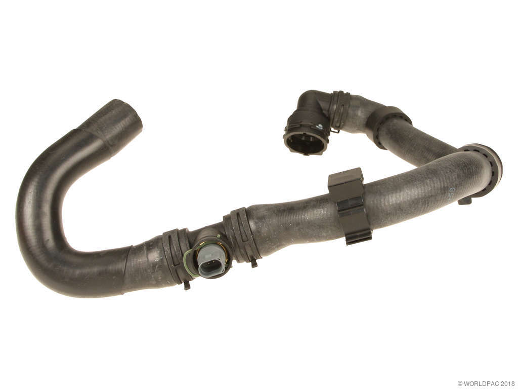 2010-2013 Audi A3 Radiator Coolant Hose - Lower (Rein)