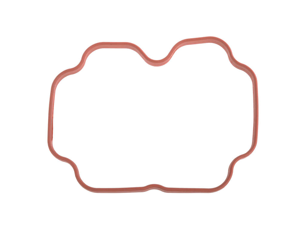 1993-2001 BMW 740i Engine Intake Manifold Gasket - Front (Autopart International)