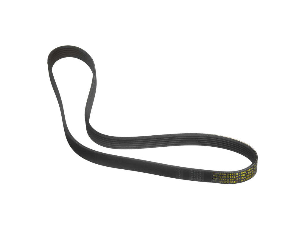 2019-2021 Volkswagen Golf Accessory Drive Belt -  or Alternator and Compressor (ContiTech)
