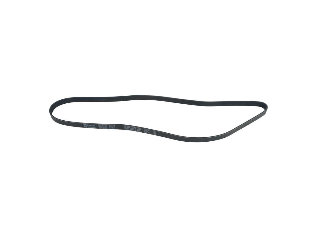 2004-2006 BMW X3 Accessory Drive Belt - Primary (Autopart International)