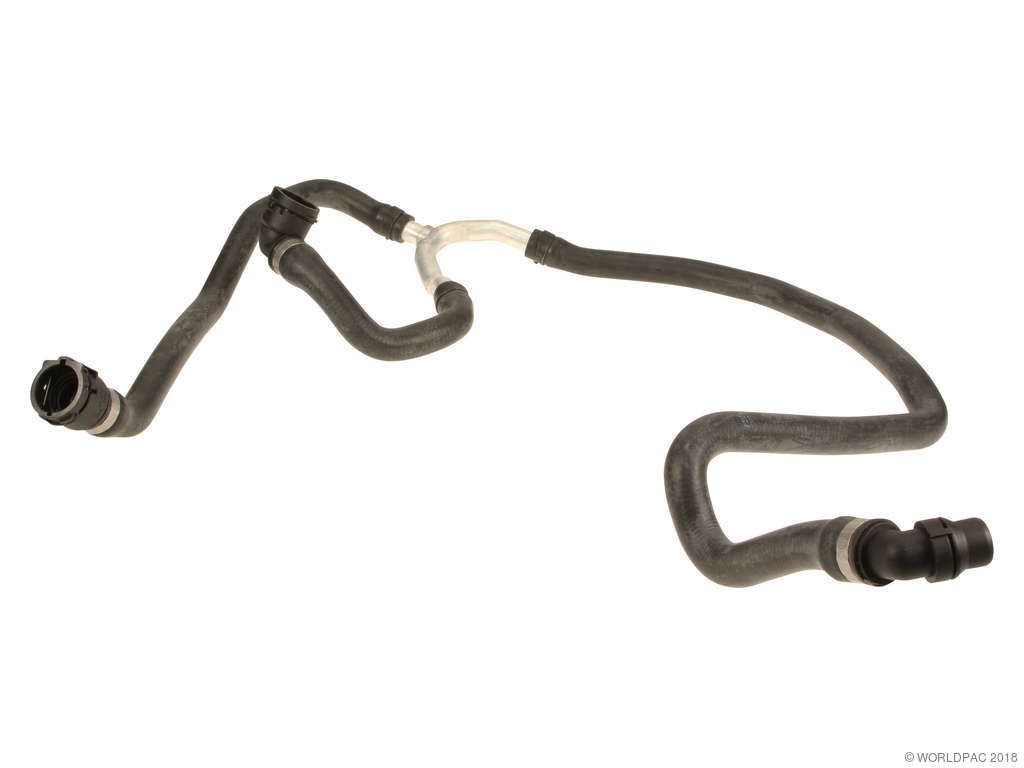 2008-2010 BMW 535i Engine Coolant Hose - Expansion Tank (Lower) (Genuine)
