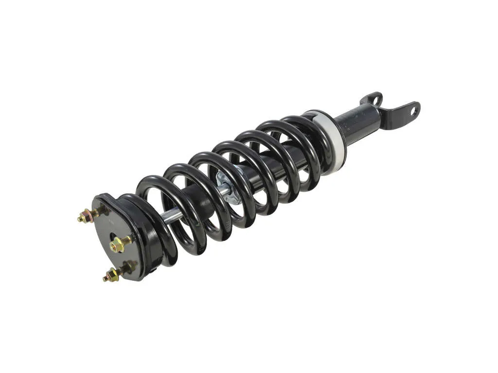 2006-2008 Dodge Ram 1500 Suspension Shock Absorber and Coil Spring Assembly (Autopart International)