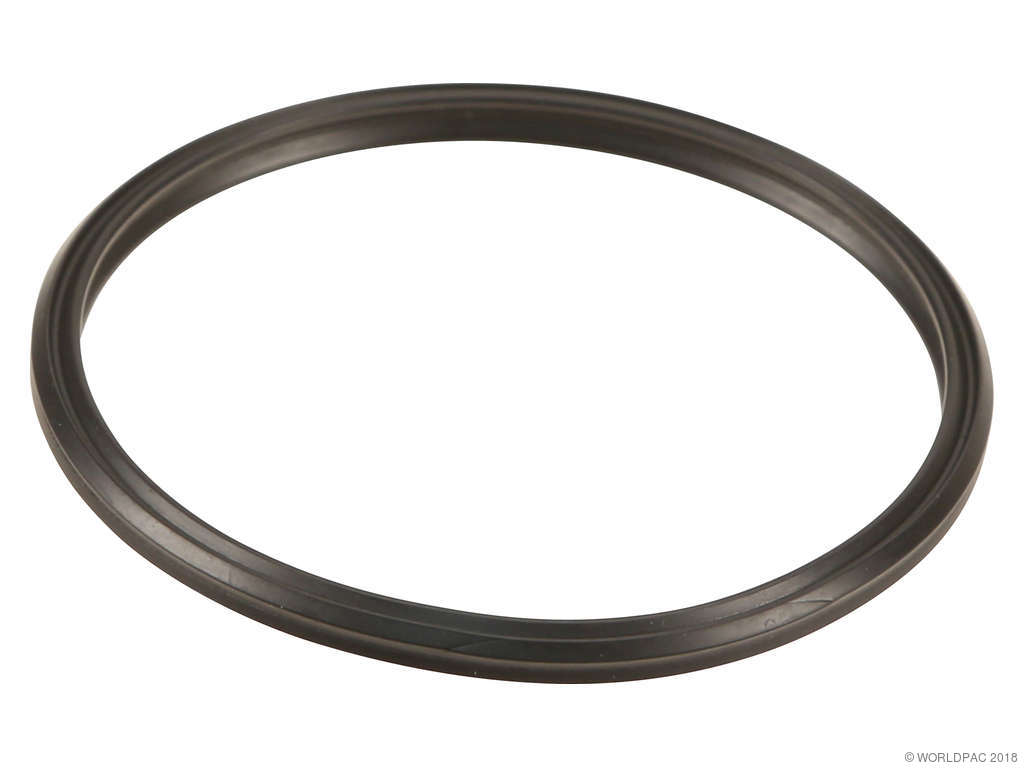 2009-2016 BMW Z4 Intercooler Gasket (Genuine)