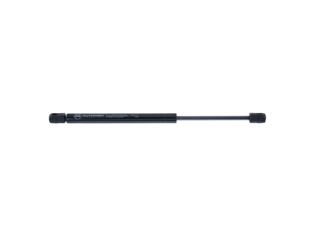 2002-2003 Acura TL Hood Lift Support (Autopart International)