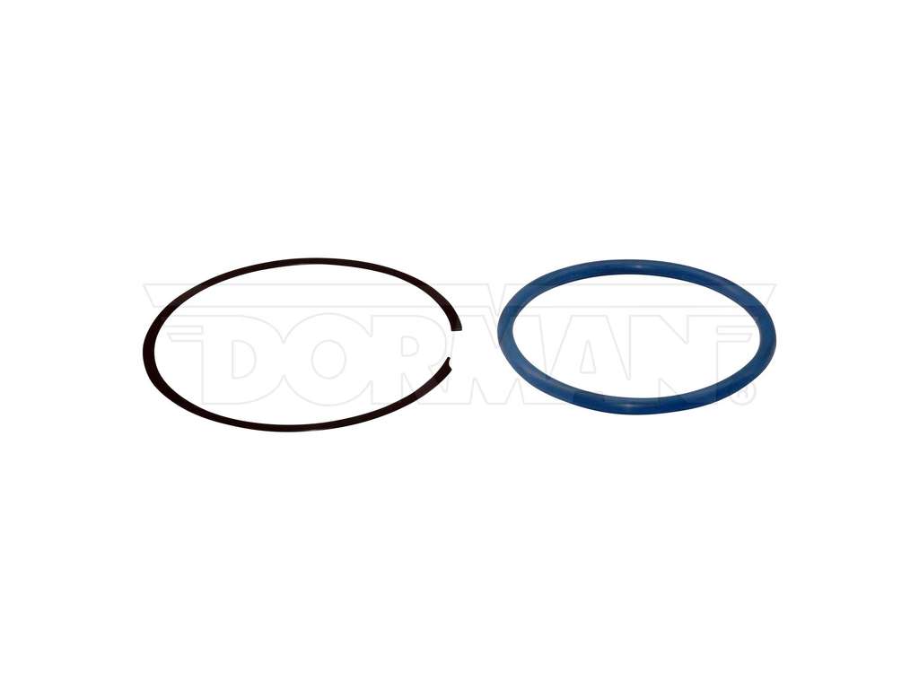 2000-2001 Chevrolet Lumina Fuel Tank Sending Unit Lock Ring (Dorman)