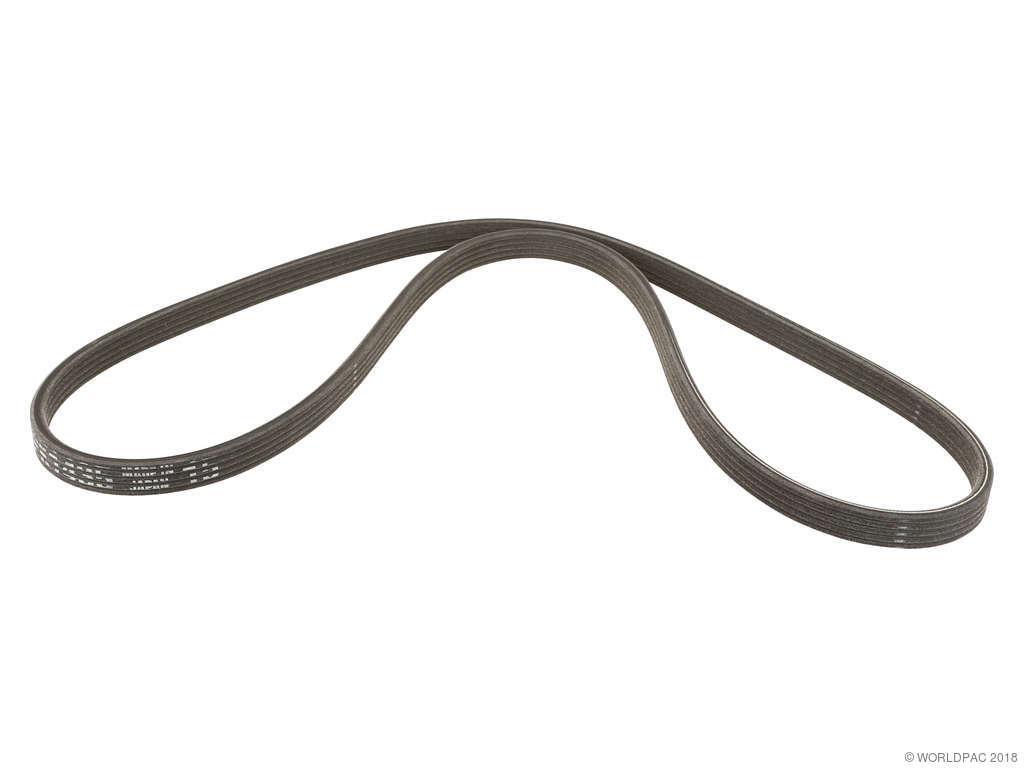 2004-2009 Cadillac XLR Accessory Drive Belt - Alternator and Water Pump (Mitsuboshi)