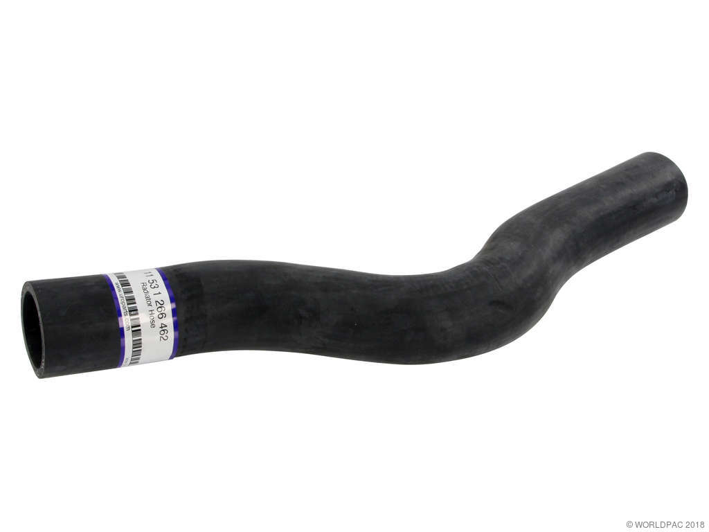1979-1981 BMW 528i Radiator Coolant Hose - Lower (APA/URO Parts)