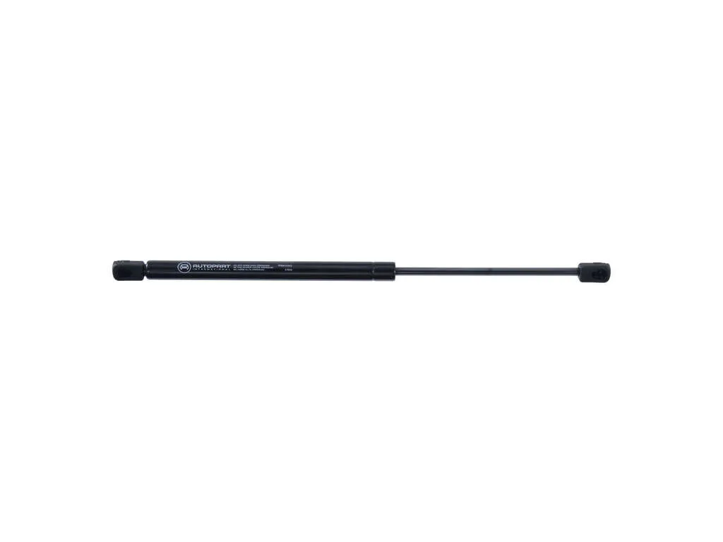 2001-2006 Hyundai Santa Fe Back Glass Lift Support (Autopart International)