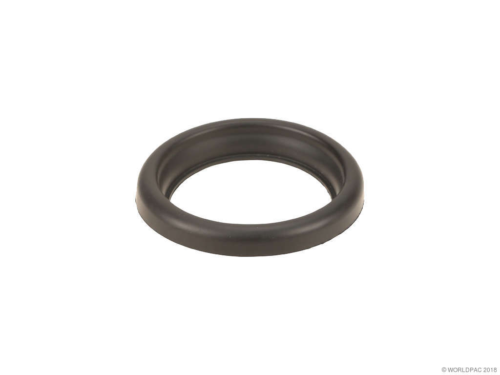 2001-2002 Mercedes-Benz CL600 Air Cleaner Seal (Genuine)