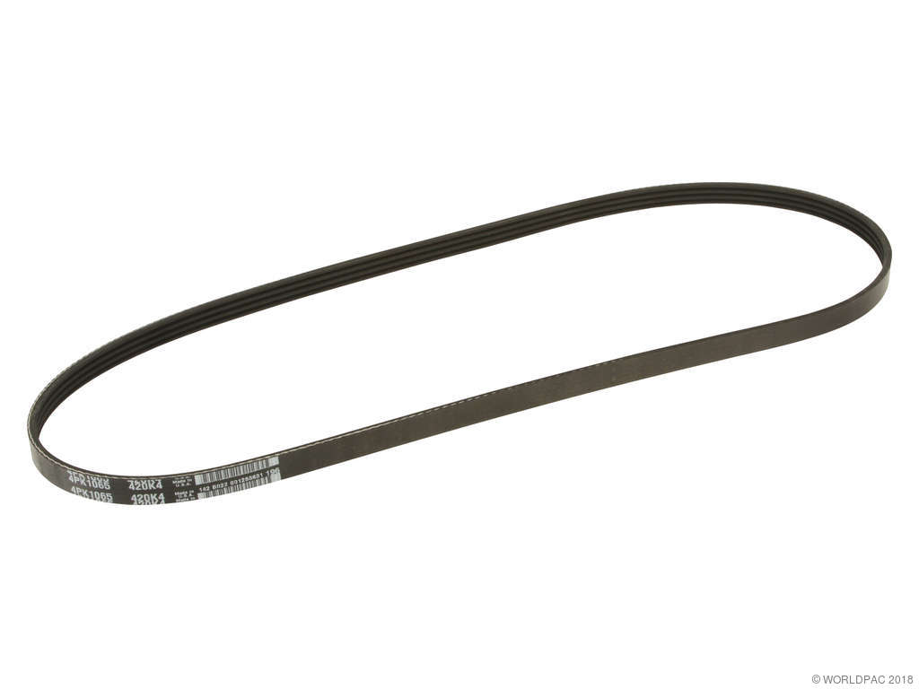 1995-1998 Honda Odyssey Accessory Drive Belt - Power Steering (Dayco)
