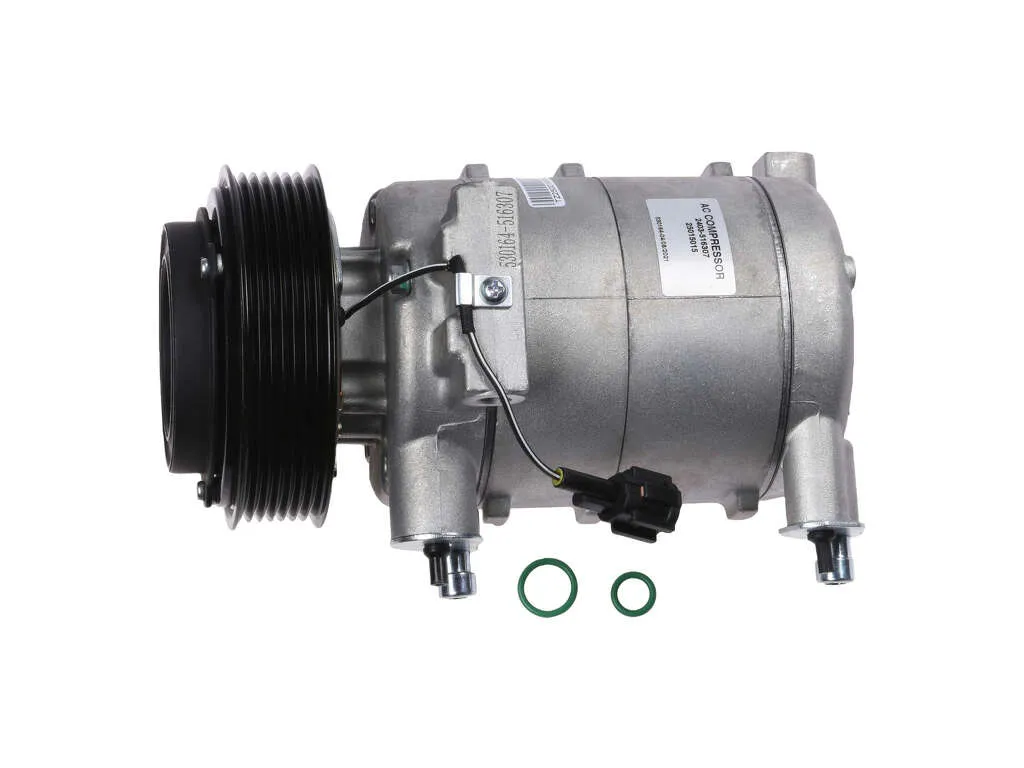 2005-2015 Nissan Xterra A/C Compressor (Autopart International)