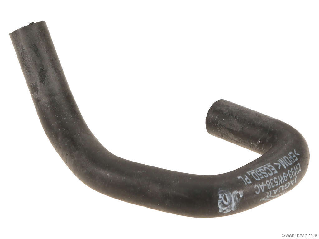 2003-2005 Jaguar S-Type Engine Coolant Hose (Genuine)