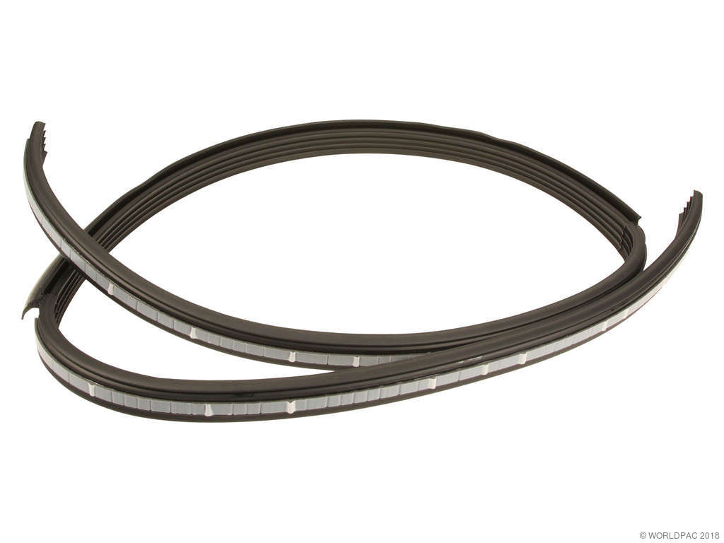 1965-1973 Porsche 911 Bumper Seal (Original Equipment)